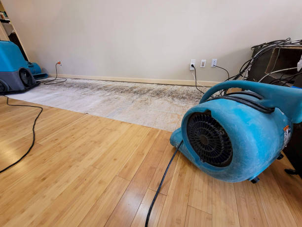 Professional Structural Drying technician working in Highland, NY